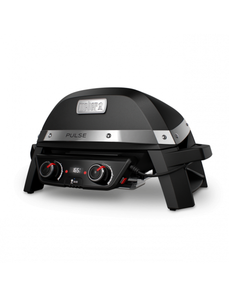 Weber Pulse 2000