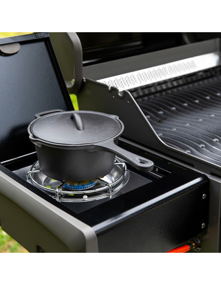 BARBECUE A GAS NAPOLEON ROGUE RB 425